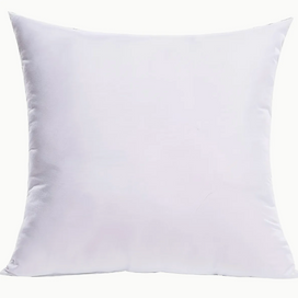 Cushion Insert